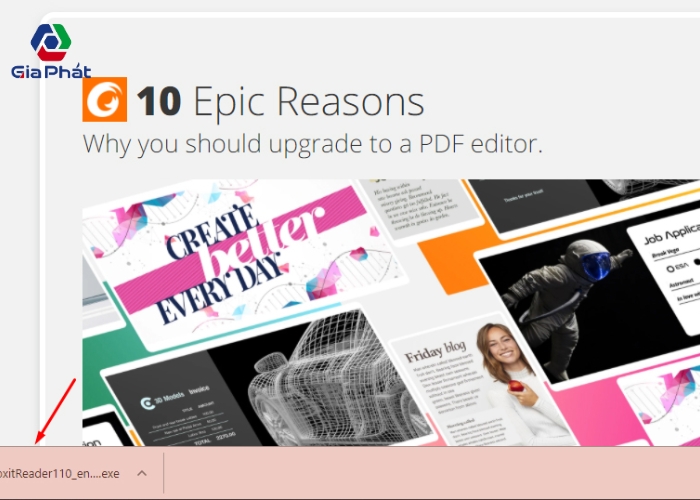 Foxit Reader(6)
