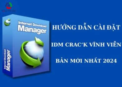 IDM (1)